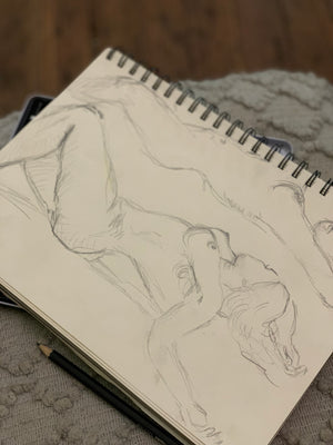 Life Drawing Guided Sessions - location Old Ambo Nambour.